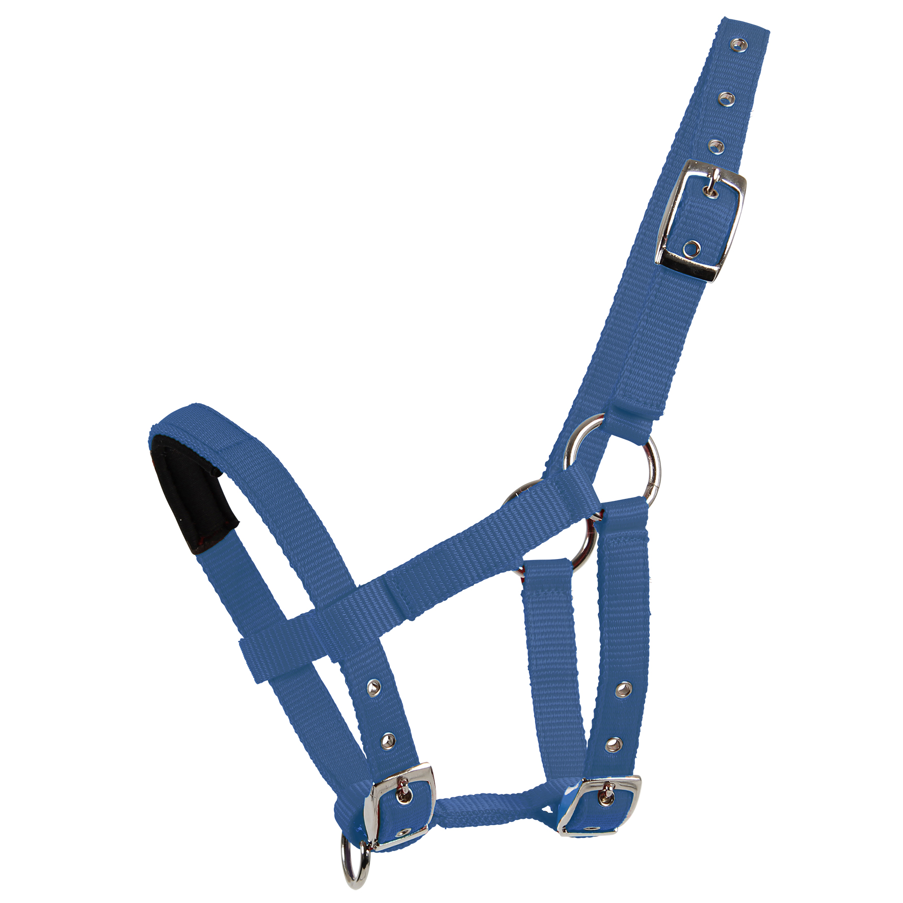 WALDHAUSEN Mini-Shetty Halfter